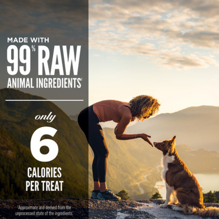 Orijen Freeze-Dried Dog Treats - Regional Red Recipe