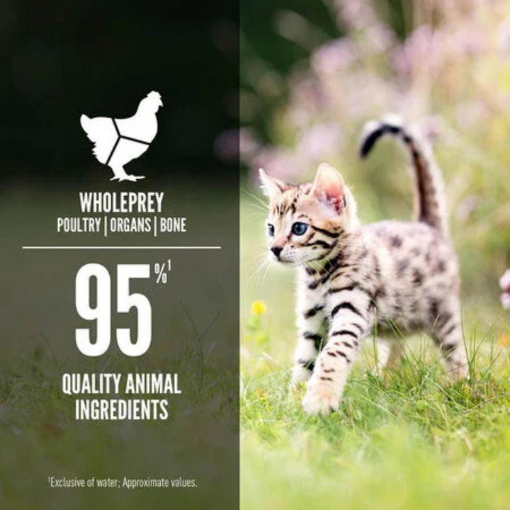 Orijen Wet Cat Food -  Chicken & Salmon Entree Wet Food for Kittens Canned