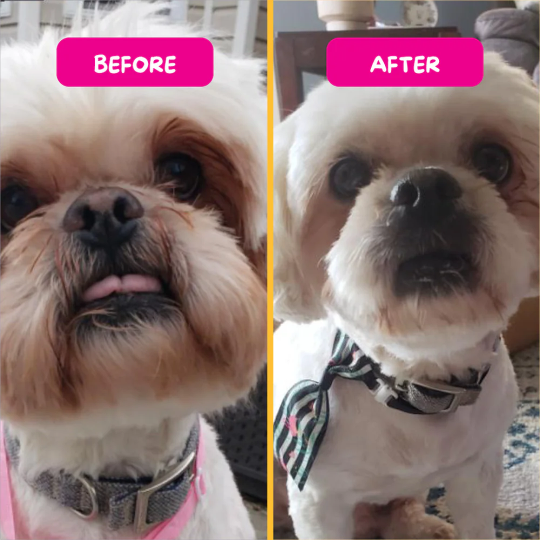 PetEyez Vitamin Dog Treats - Eliminate Tear Stains & Support Eye Health - Lamb