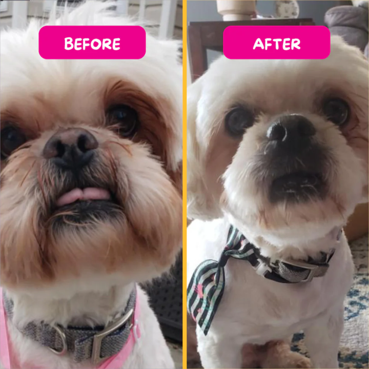 PetEyez Vitamin Dog Treats - Eliminate Tear Stains & Support Eye Health - Lamb