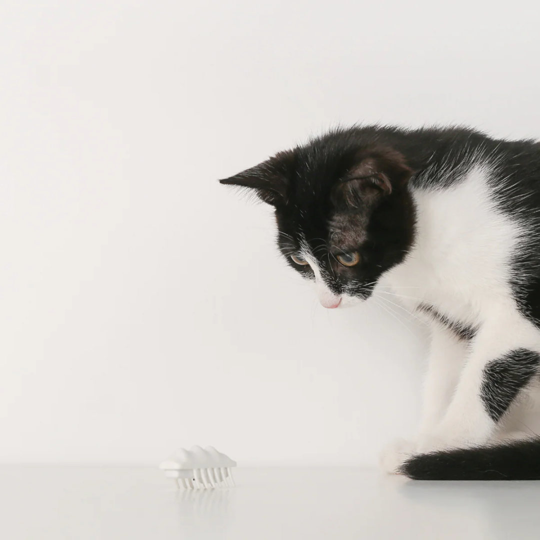 Pidan Cat Toys - ”Little Snow Monster“ Electronic Cat