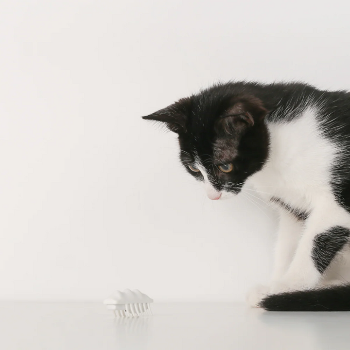 Pidan Cat Toys - ”Little Snow Monster“ Electronic Cat