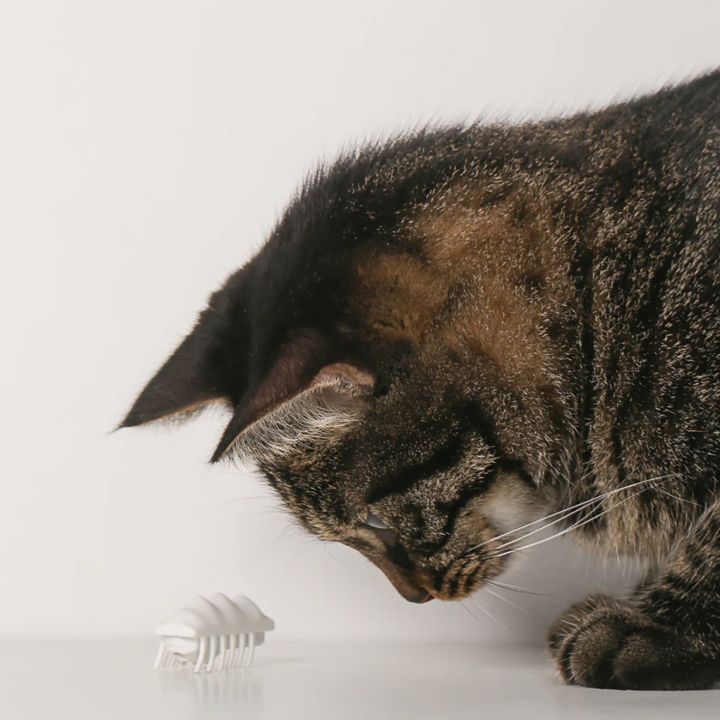 Pidan Cat Toys - ”Little Snow Monster“ Electronic Cat