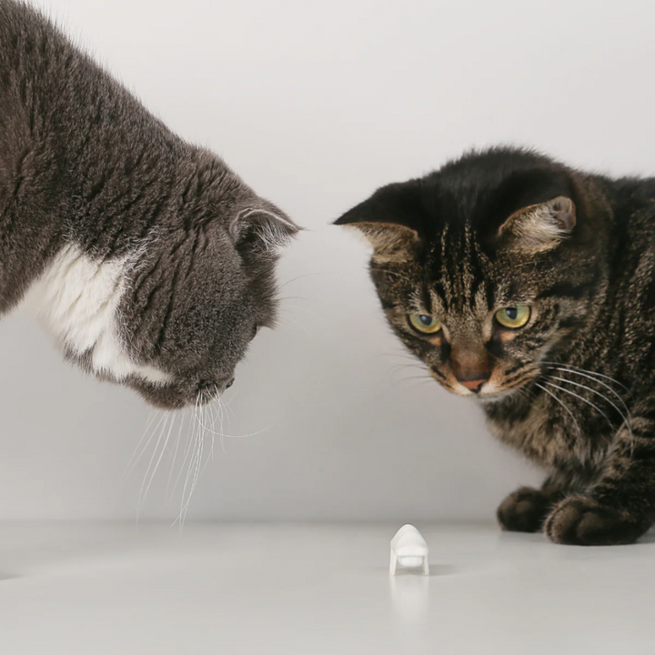 Pidan Cat Toys - ”Little Snow Monster“ Electronic Cat