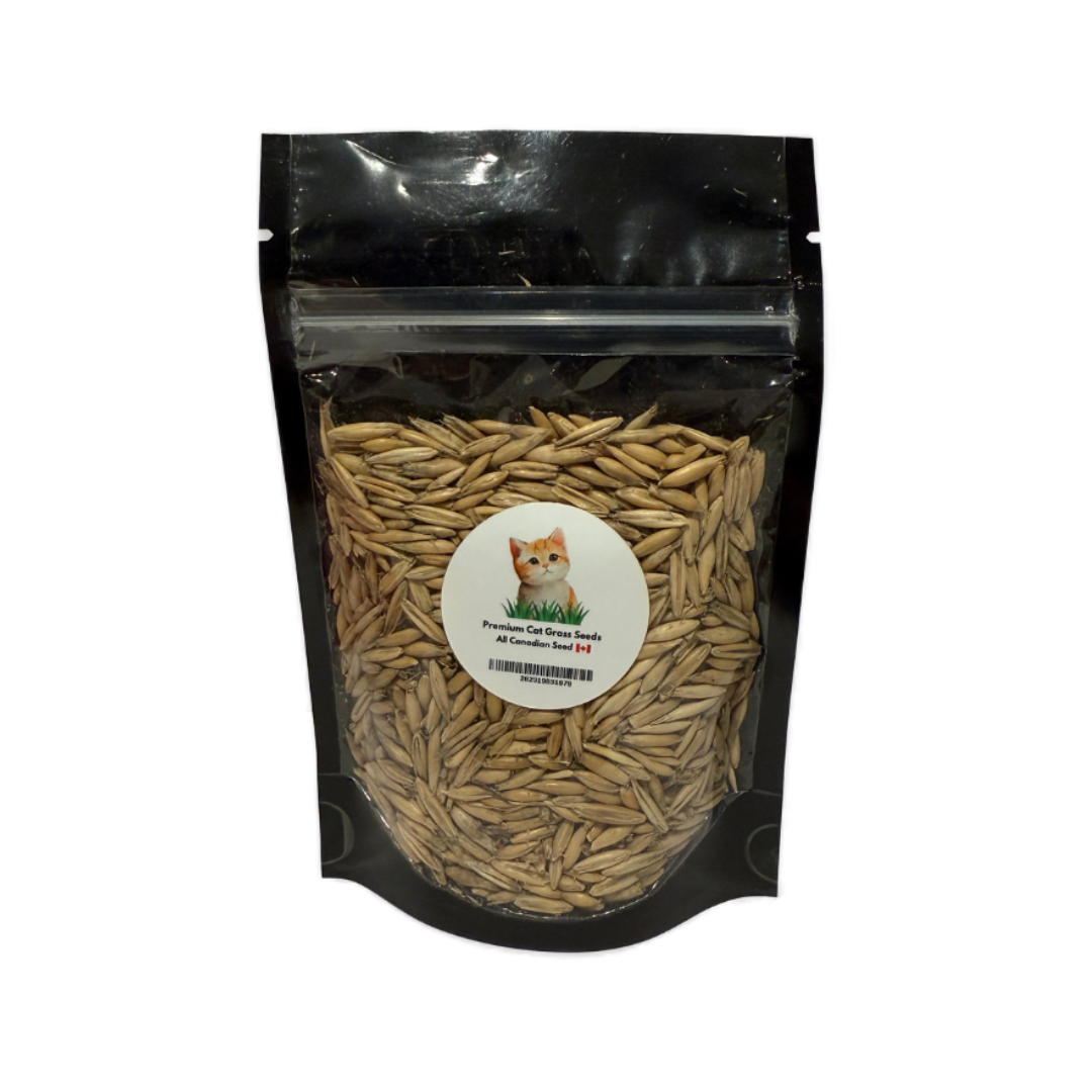 Private Label Cat Supplements - Premium All Canadian Cat Grass Seeds