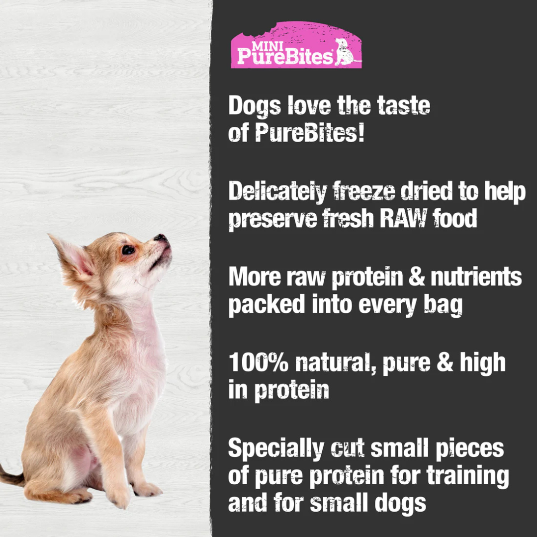 PureBites Freeze-Dried Dog Treats - Mini Trainers Wild-Caught Salmon