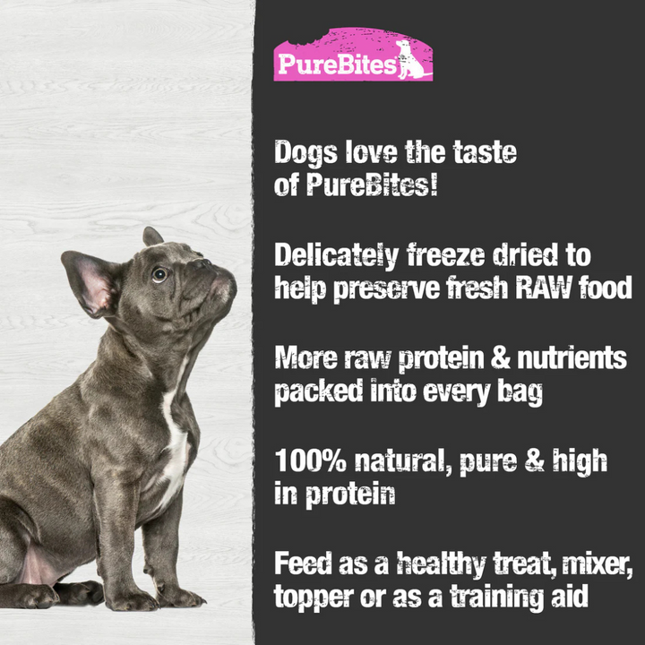 PureBites Freeze-Dried Dog Treats - Salmon