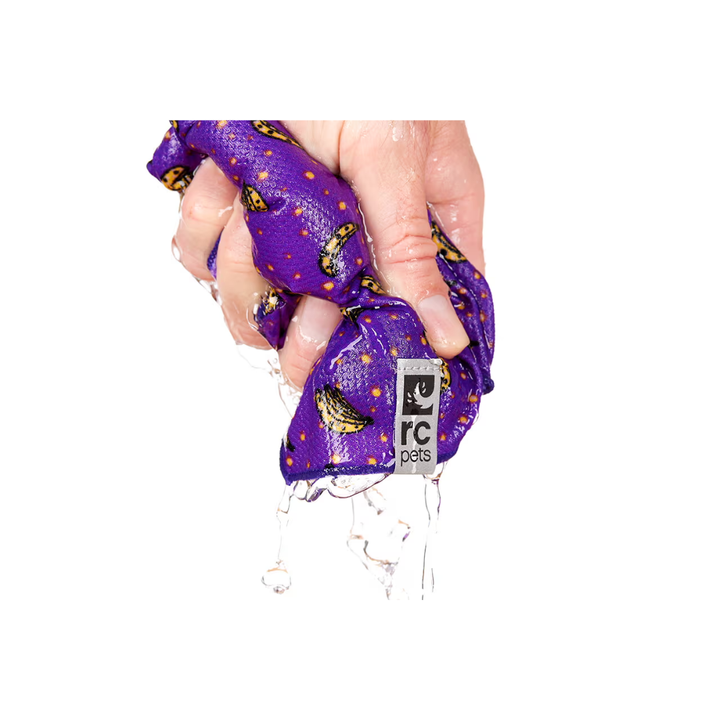 RC Pets Dog Apparel - Zephyr Cooling Bandana