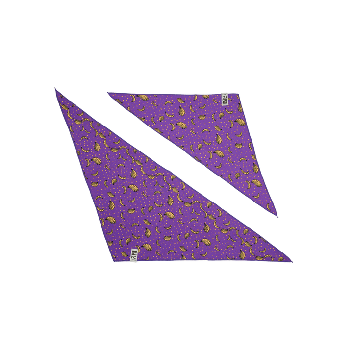 RC Pets Dog Apparel - Zephyr Cooling Bandana