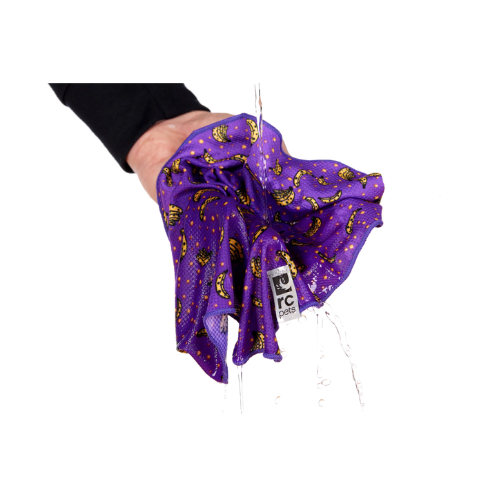 RC Pets Dog Apparel - Zephyr Cooling Bandana