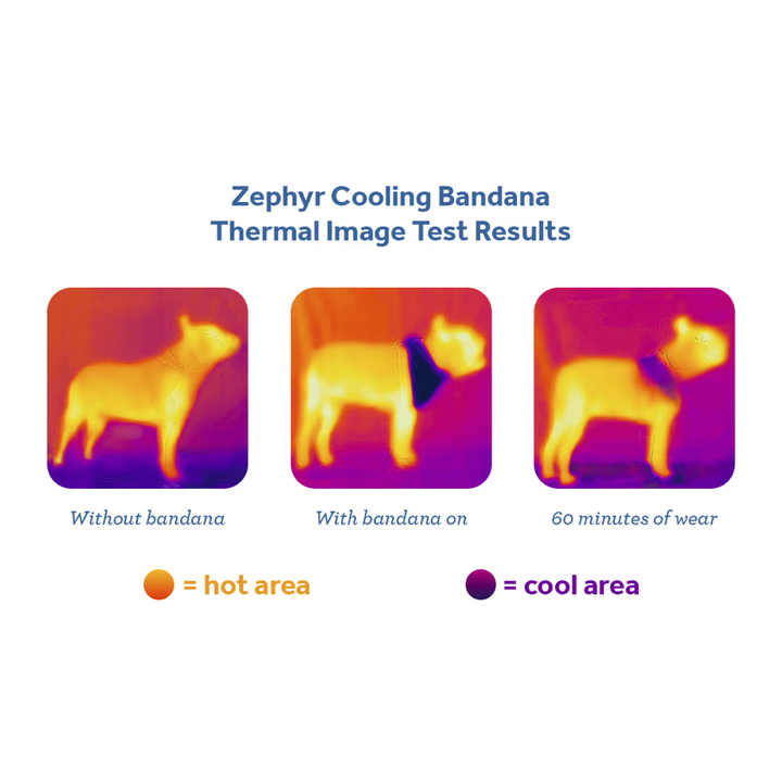 RC Pets Dog Apparel - Zephyr Cooling Bandana