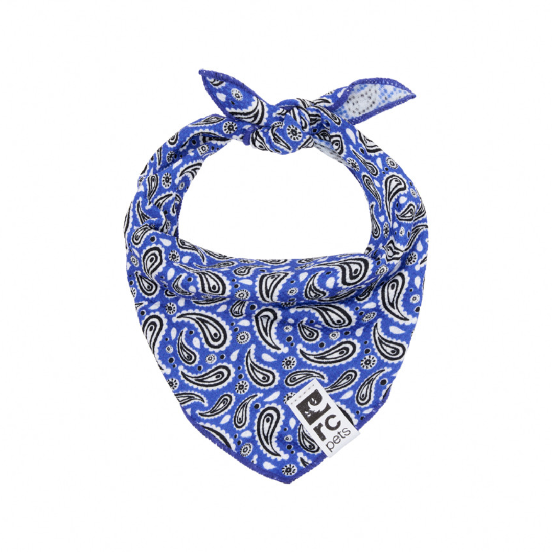 RC Pets Dog Apparel - Zephyr Cooling Bandana