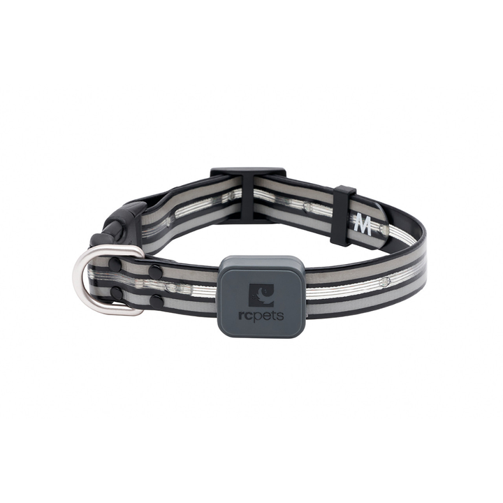 RC Pets Dog Collars - Nova LED Light Collar