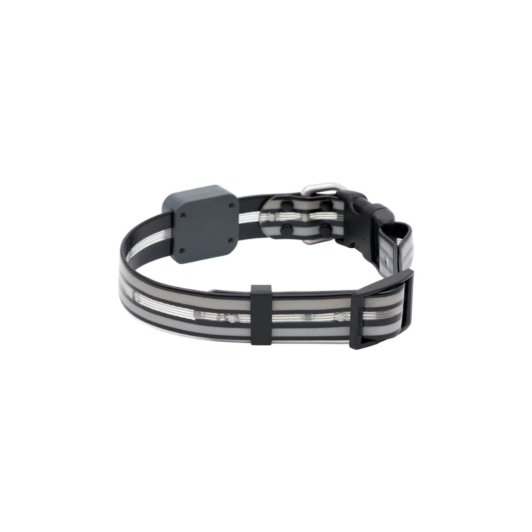 RC Pets Dog Collars - Nova LED Light Collar