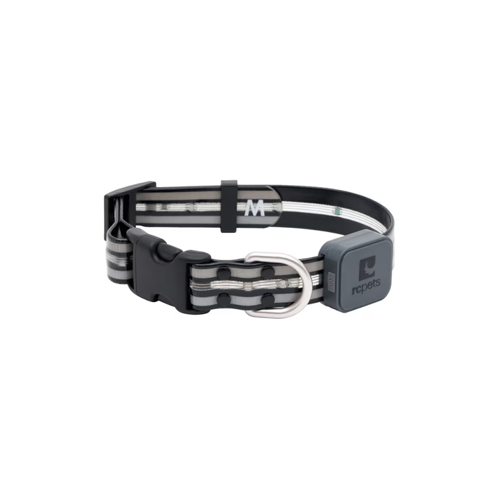 RC Pets Dog Collars - Nova LED Light Collar