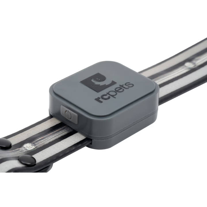 RC Pets Dog Collars - Nova LED Light Collar