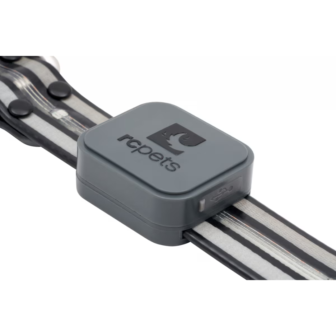 RC Pets Dog Collars - Nova LED Light Collar