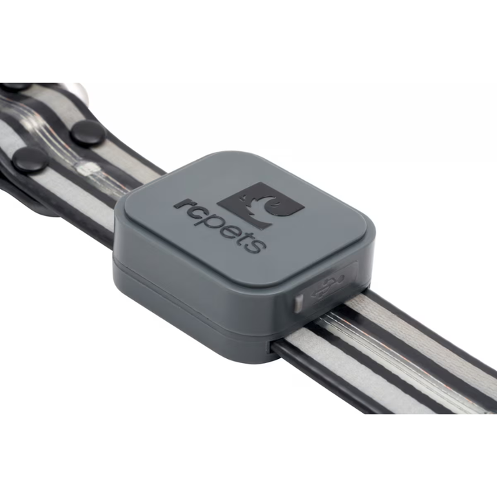 RC Pets Dog Collars - Nova LED Light Collar