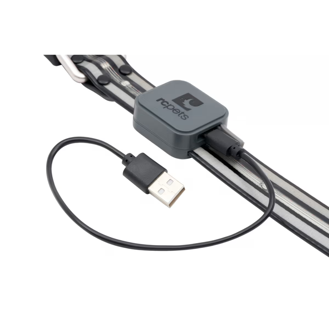 RC Pets Dog Collars - Nova LED Light Collar