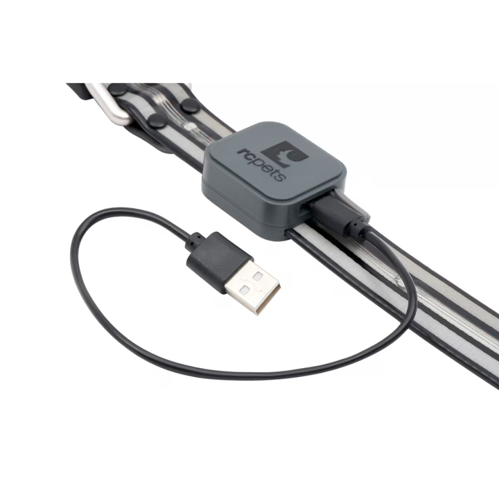 RC Pets Dog Collars - Nova LED Light Collar