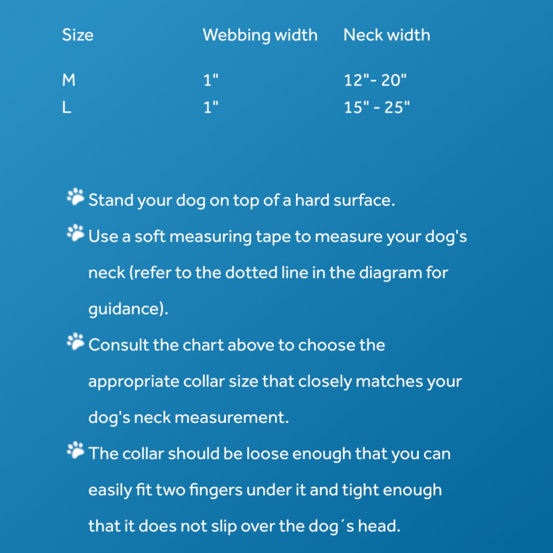 RC Pets Dog Collars - Nova LED Light Collar