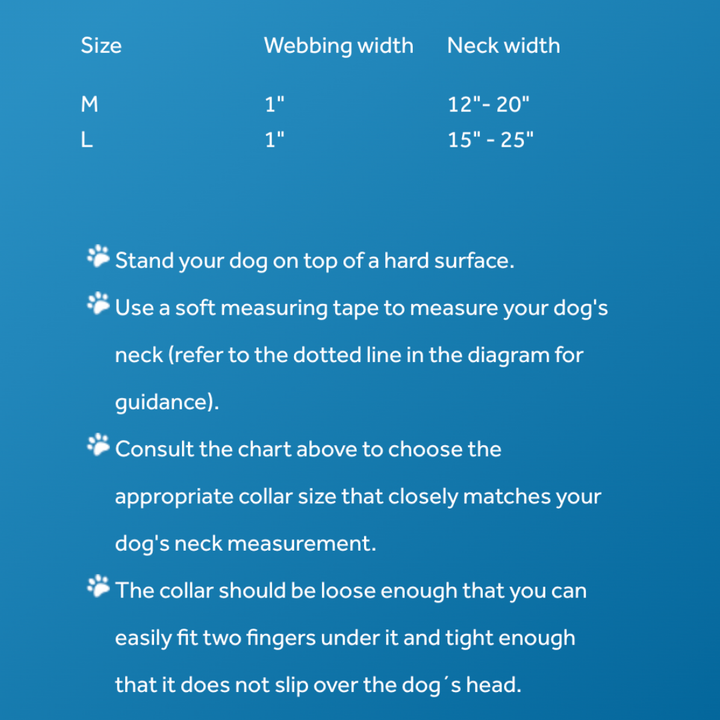 RC Pets Dog Collars - Nova LED Light Collar