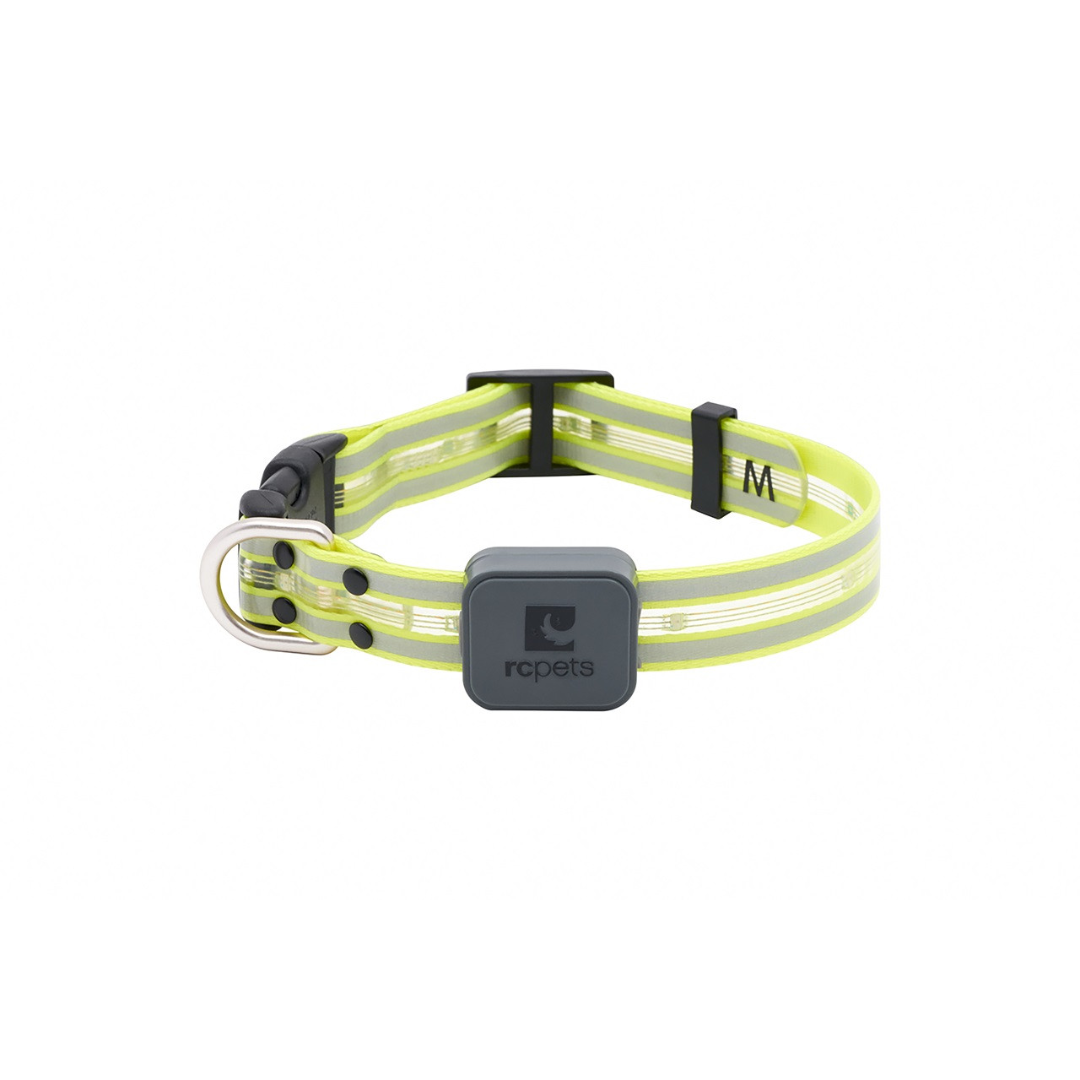 RC Pets Dog Collars - Nova LED Light Collar