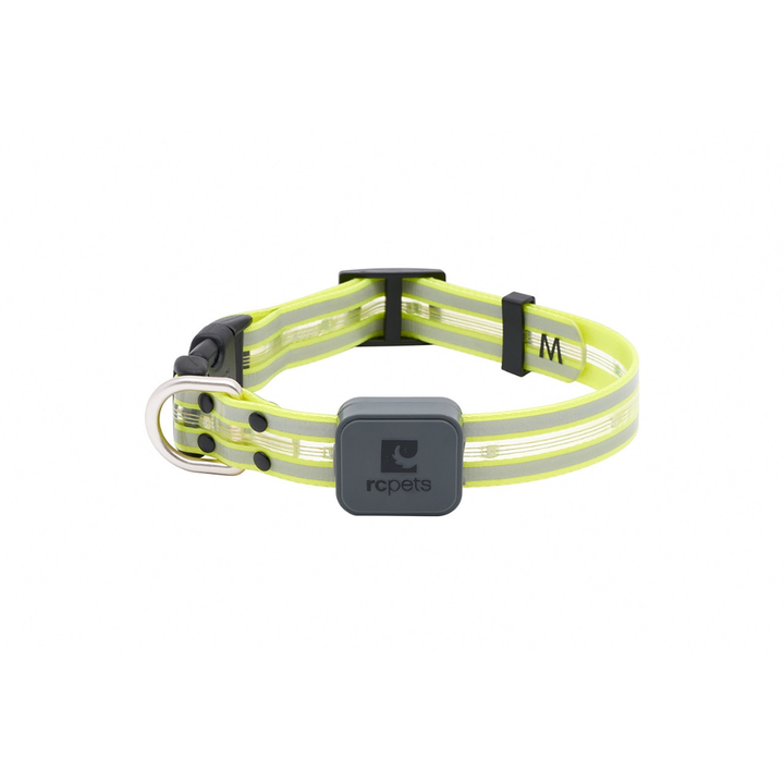 RC Pets Dog Collars - Nova LED Light Collar