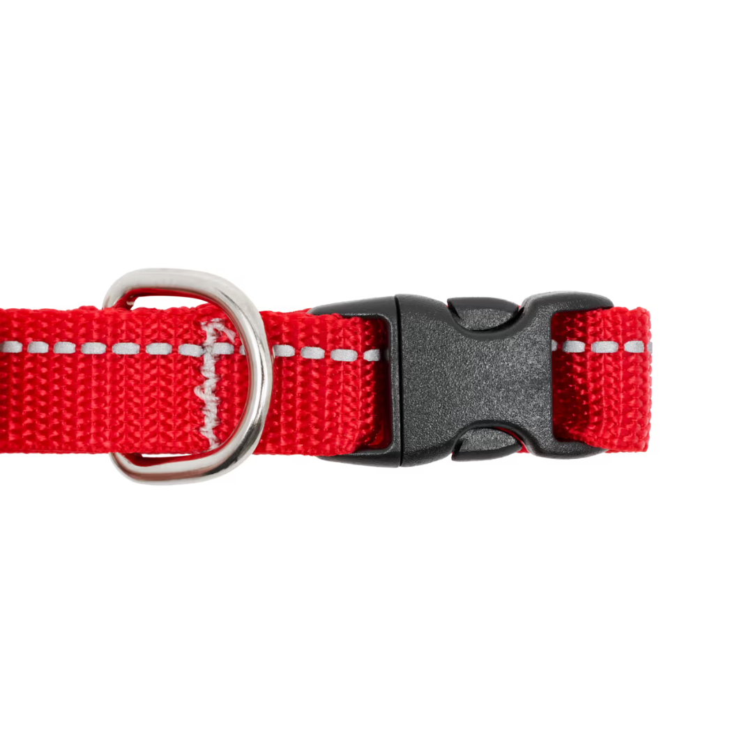 RC Pets Dog Collars - Petite Primary Collar