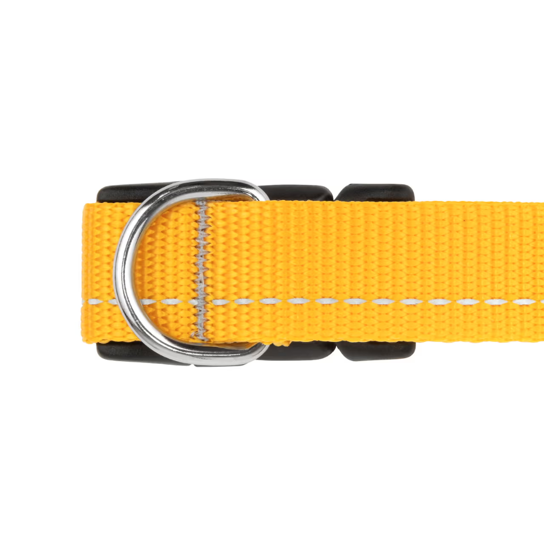 RC Pets Dog Collars - Primary Collar