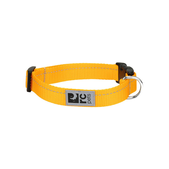 RC Pets Dog Collars - Primary Collar