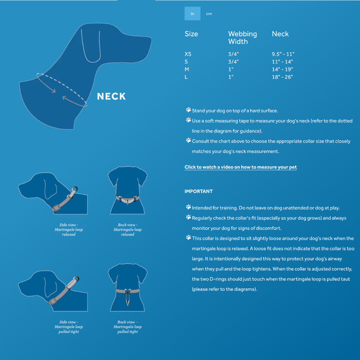 RC Pets Dog Collars - Primary Web Training Clip Collar