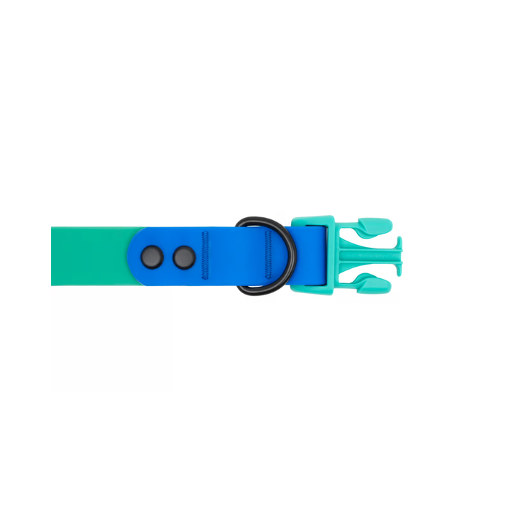 RC Pets Dog Collars - Waterproof Collar