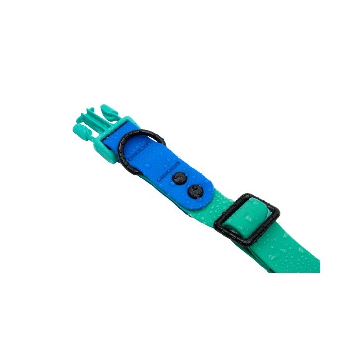 RC Pets Dog Collars - Waterproof Collar