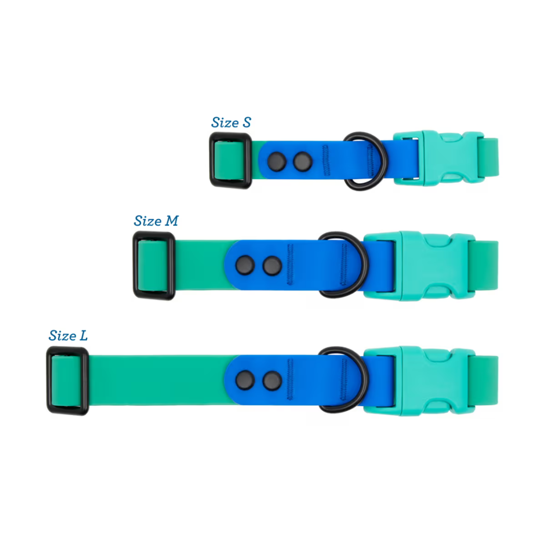 RC Pets Dog Collars - Waterproof Collar