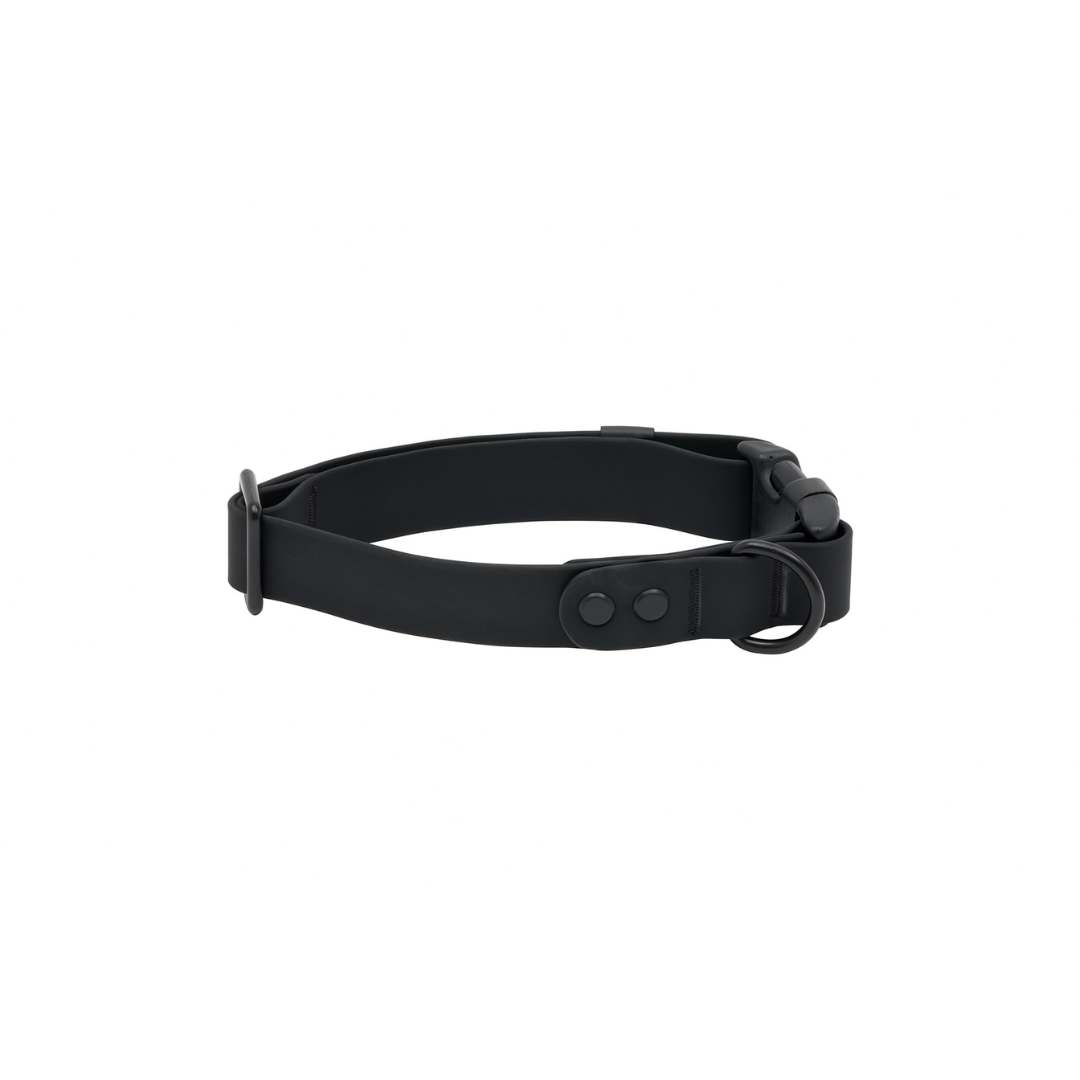 RC Pets Dog Collars - Waterproof Collar