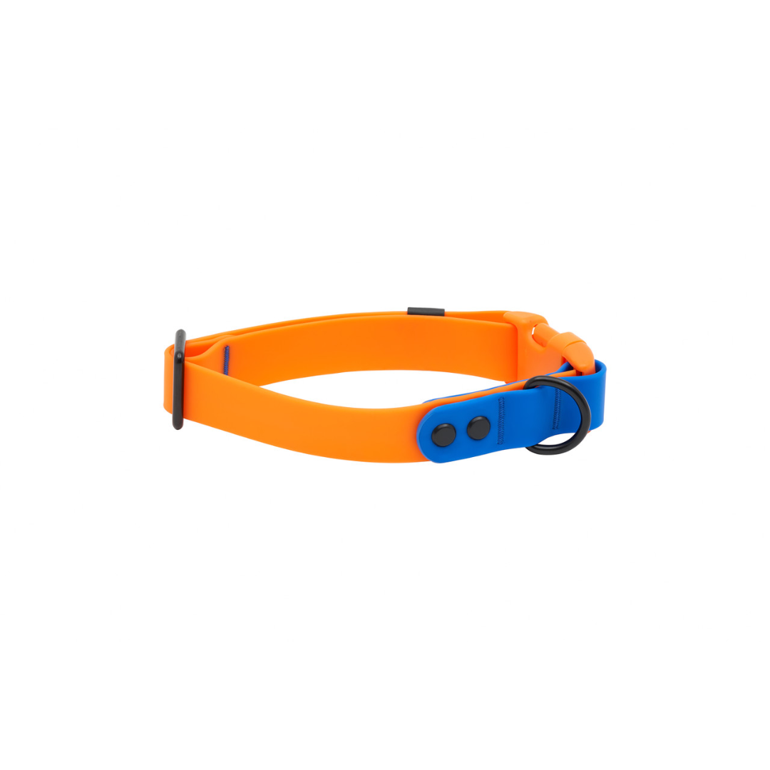 RC Pets Dog Collars - Waterproof Collar