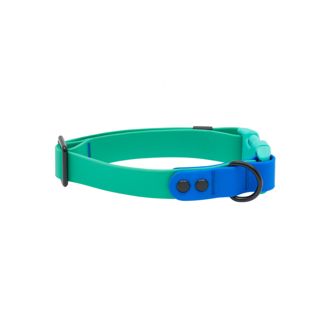 RC Pets Dog Collars - Waterproof Collar