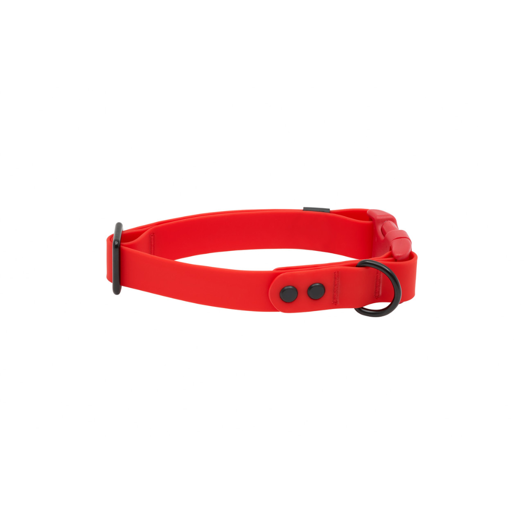 RC Pets Dog Collars - Waterproof Collar