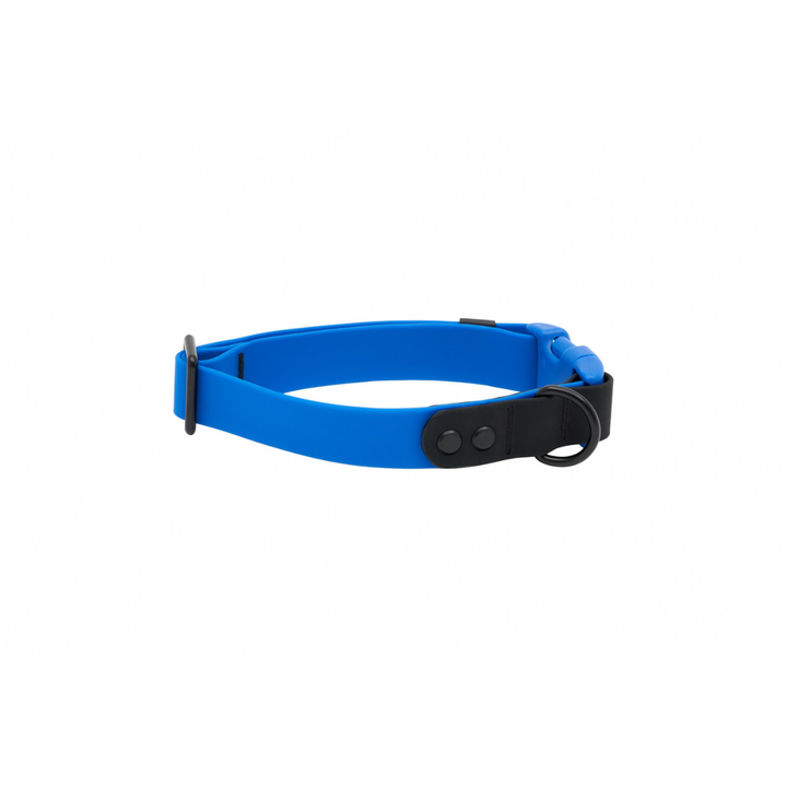 RC Pets Dog Collars - Waterproof Collar