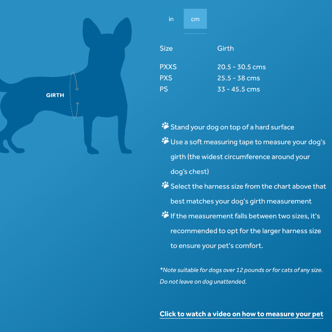 RC Pets Dog Harnesses - Petite Primary Step In Harness