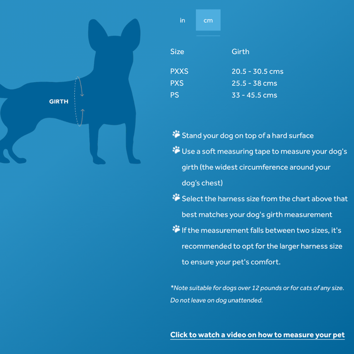 RC Pets Dog Harnesses - Petite Primary Step In Harness