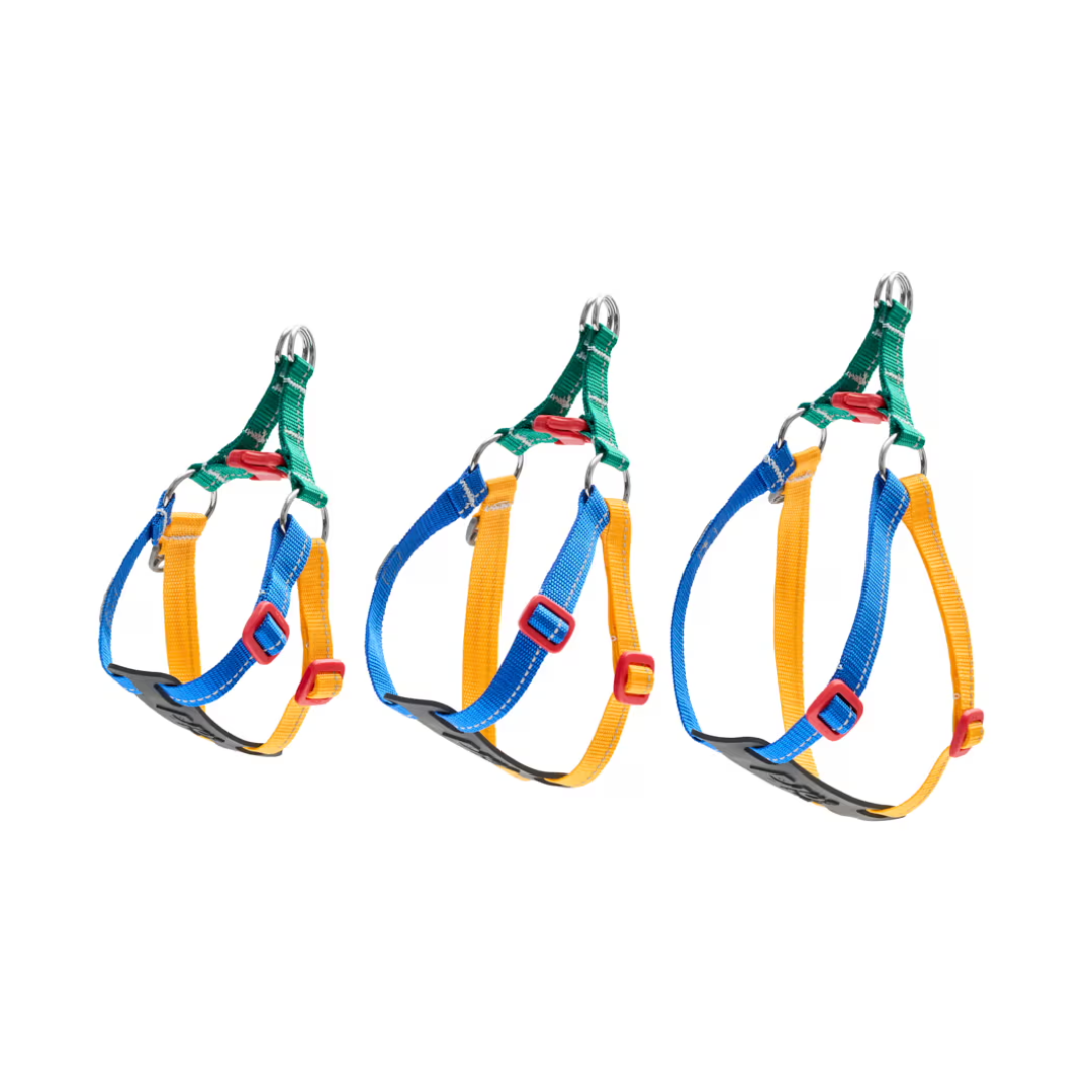 RC Pets Dog Harnesses - Petite Primary Step In Harness