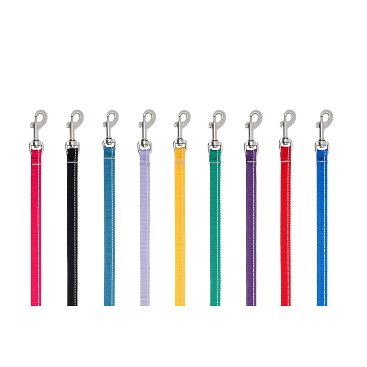 RC Pets Dog Leashes - Petite Primary Leash