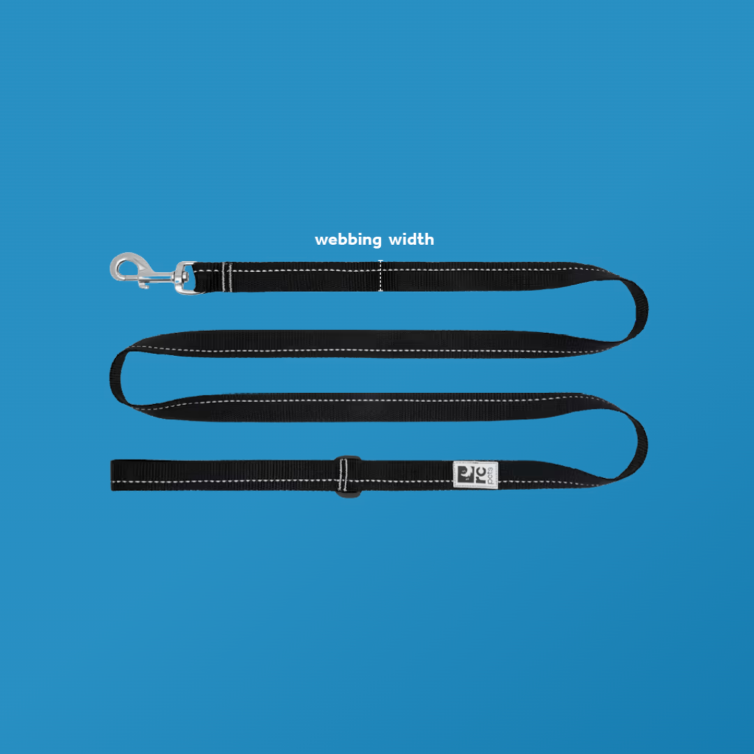 RC Pets Dog Leashes - Primary Leash