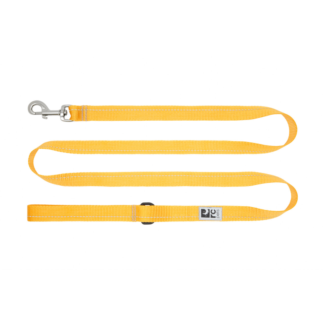 RC Pets Dog Leashes - Primary Leash