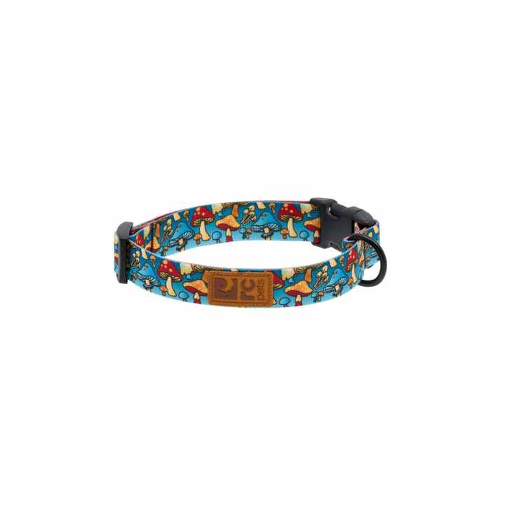 RC Pets Dog Collars - Eco Clip Collar