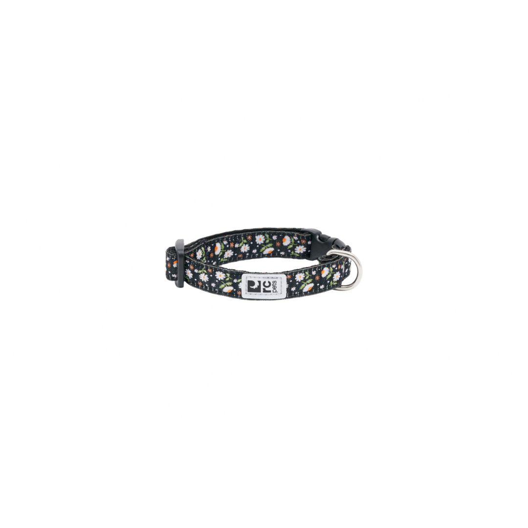 RC Pets Dog Collars - Petite Clip Collar