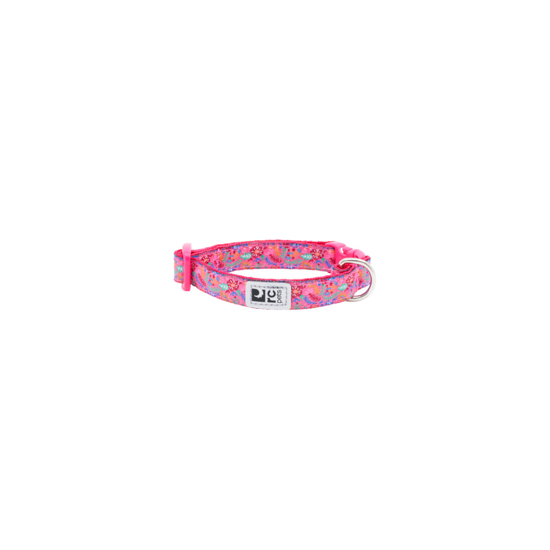 RC Pets Dog Collars - Petite Clip Collar