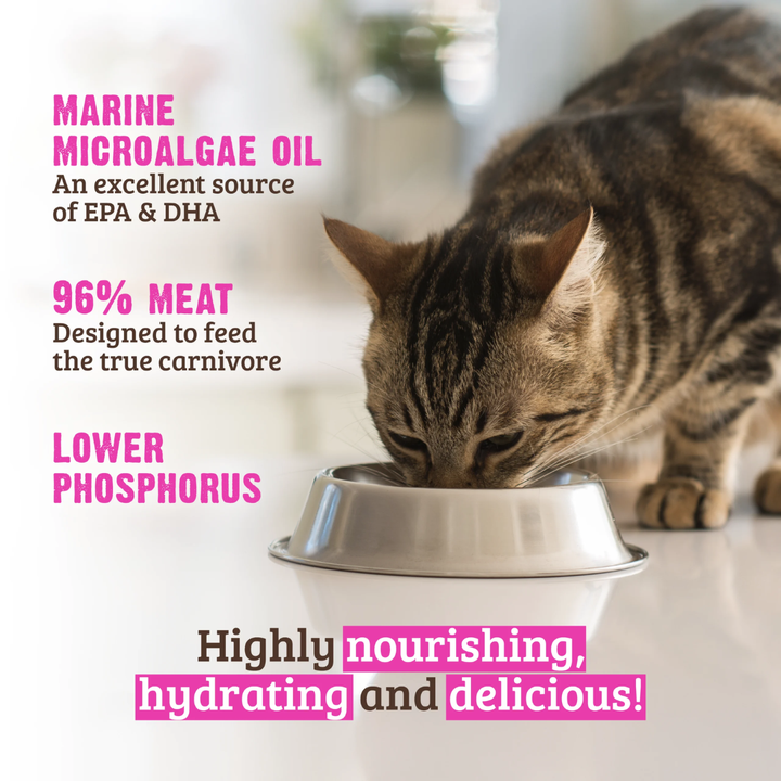 Rawz Wet Cat Food - Lower Phosphorus Turkey Canned